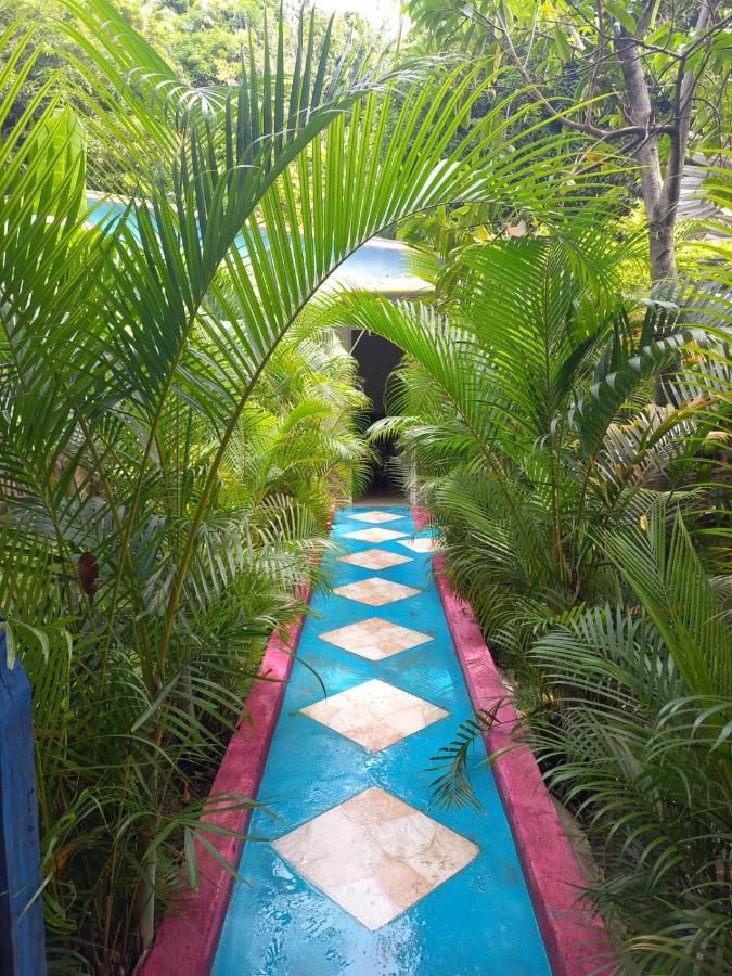 Ferienwohnung Eco-Cafe El Mirador Guachaca Exterior foto